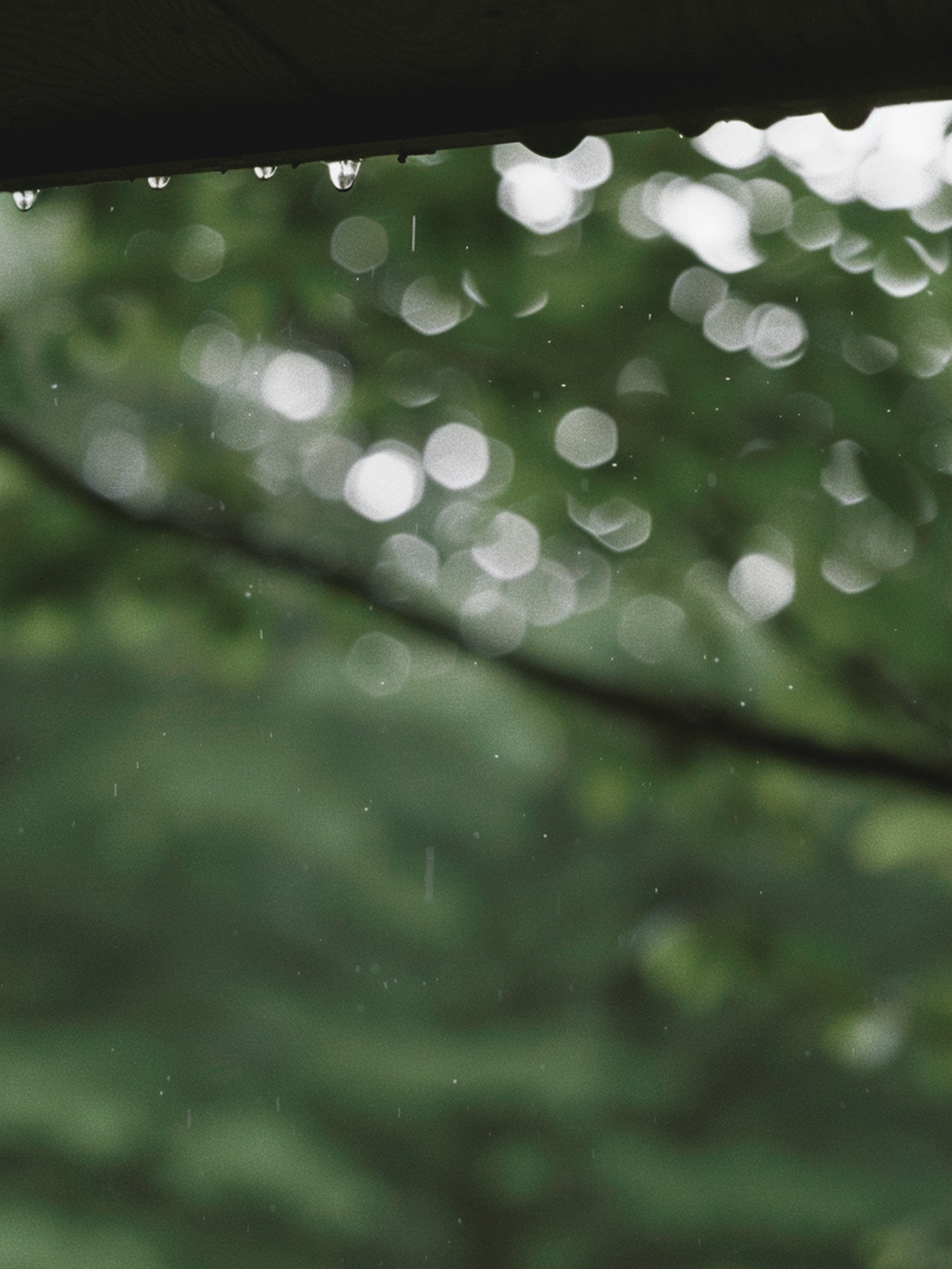 raindrops-close-up-susurro